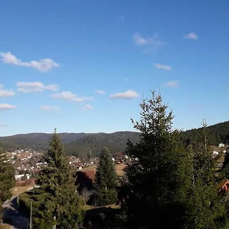Spacieux A Avec Et Vue Montagne * Xonrupt-Longemer